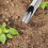 Gartenschaufel Handgriffschaufel Gemüsepflanzgerät 5
