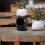 aschenbecher katzenform für außen zuhause 5
