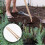 2 holzgriffe hartholz für unkrautstecher und gartenhaken 9