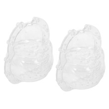 2 Pezzi Trasparenti Al Ginseng Per