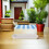 3 bandejas plásticas para , base para jardinagem 6