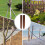 2 antiseptisch grasrand tuinbloembed afwerking 8