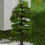 10 simulation garten künstliche sukkulenten deko 3