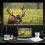 150-inch Portable HD Projector Screen 16:9 Foldable Durable 3