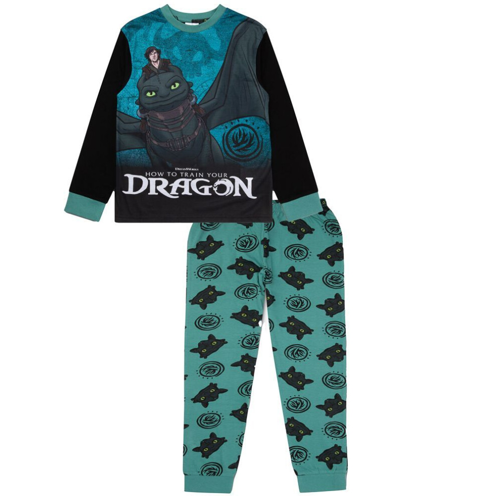How To Train Your Dragon Men's (12-13 Years) Boys Pyjamas