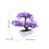 künstlicher Bonsai-Kiefernbaum für Büro, Zuhause oder Regal ( ) 3