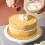 Base Rotonda Per Torta In , 10 Pezzi, 10 Pollici 11