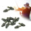 50Pcs Quickly change Connector Replacement Fishing Method Feeder 4