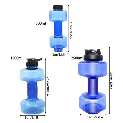 Leakproof Swim Training-PETG cannot be fille 2500ML gray 2