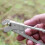 Compacts Heatproof Pans Clamps Portables-Silver with teeth 6