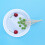 Fruit And Leaf Pick Wooden Toothpicks Light Green 100 Pcs 3