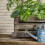 10pcs Plastic Fertilization Boxes Fertilizer Cover Baskets 5