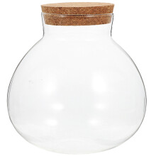 2pcs Round Glass Jar with Cork for Terrarium Plant Micro-Landscape