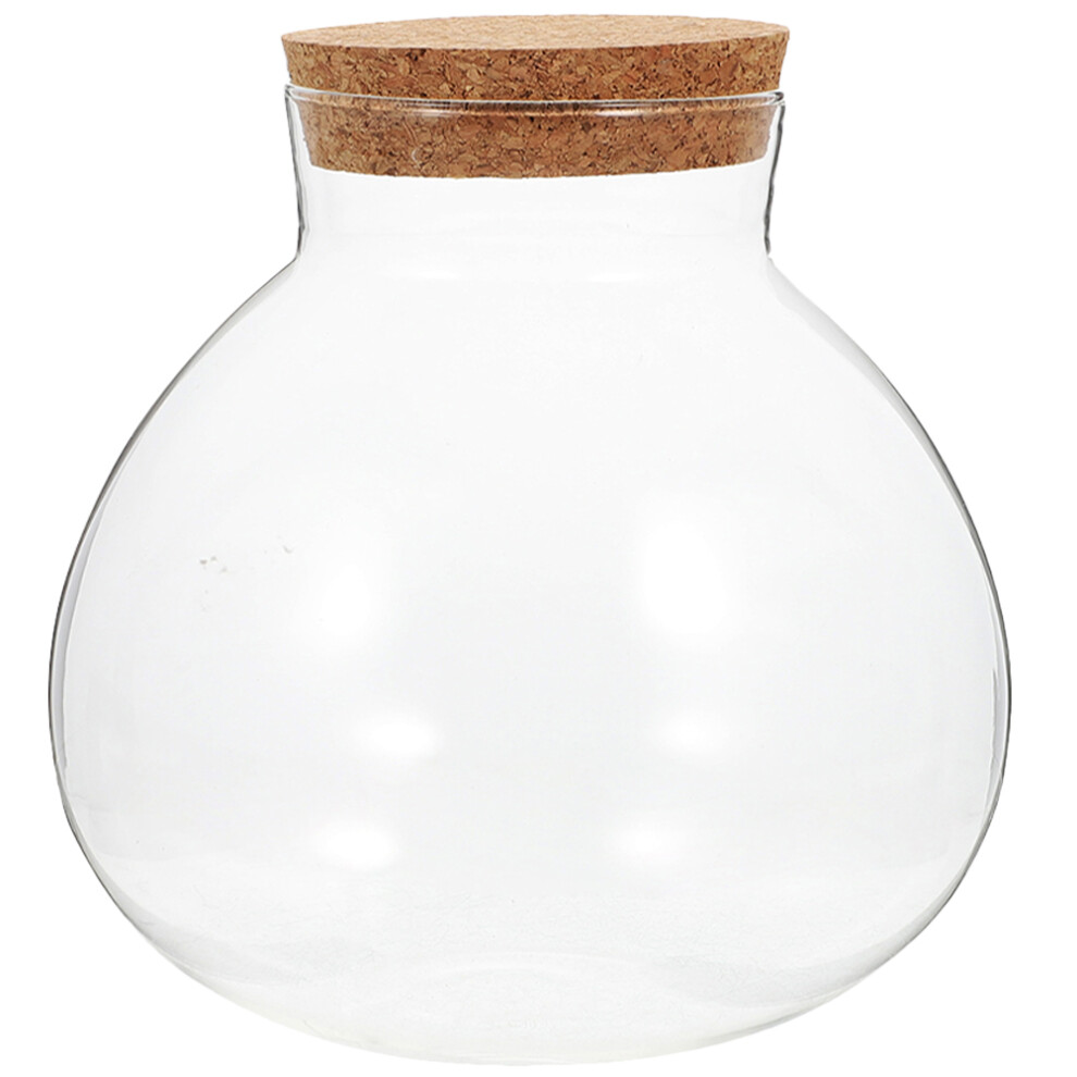 Villcase 2Pcs Round Glass Jar With Cork For Terrarium Plant Micro-Landscape