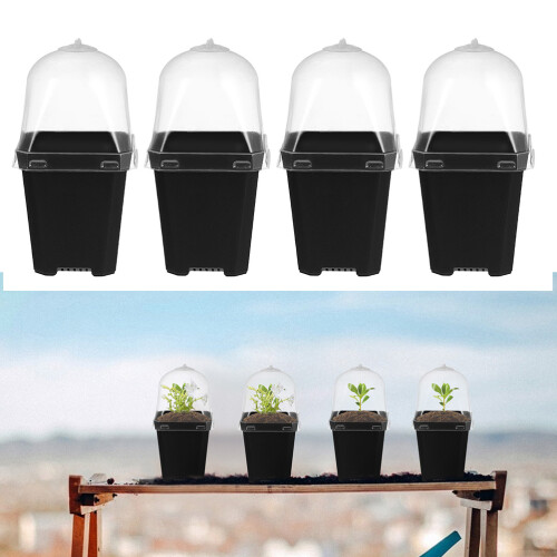 12 Set Umidità per Vasi Serra e Germinazione 2