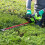 Greenworks 24V Hedge Trimmer 61cm - 2Ah Battery 6