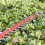 Greenworks 24V Hedge Trimmer 61cm - 2Ah Battery 8