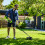 Greenworks 40V Brush Cutter 40cm - 2x 2Ah Battery 7