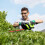 Greenworks 24V Hedge Trimmer 56cm Gen. II - tool only 4