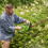 Greenworks 24V Hedge Trimmer 56cm Gen. II - tool only 6