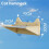 Suction Cup Wall Cat Climbing Frame Wall Type Hammock 2