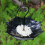 Vogelfutterschale, Futtertablett für den Garten 6