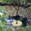 Vogelfutterschale, Futtertablett für den Garten 7