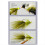 für Woolly Bugger Fliegenfischköder, 6 Stück Metallperlen-Oliven-Streamer 6