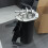 Engine Fuel Filter with Flange 3C0127400D for 6