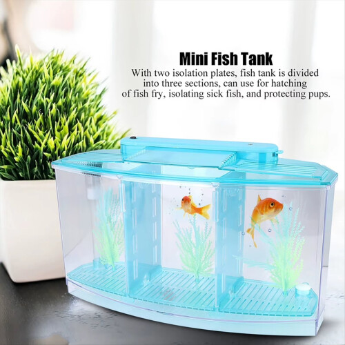 Mini acuario de cría para peces pequeños 2