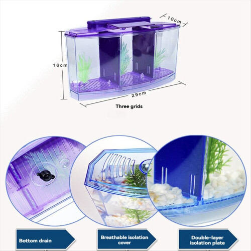 Mini acuario de cría para peces pequeños 1