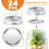 48 PCS Regular Mouth MasonJar Lids and Rings 2