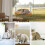 Cat Window Hammock Window Cat Bed With Suction Cup 3