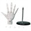 Universal Flexible Hand Model, Movable Artist Mannequin Hand Shape, Α 1