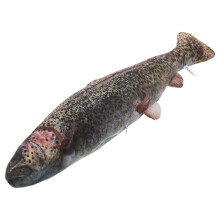 3d-realistisches fisch-plüschtier, weiches kissen für kinder
