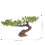 Dekorativer Künstlicher Kleiner Baum 10