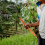 mango de madera para y herramientas de , 5