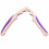 Heavy Duty Nut Cracker for Walnuts and Seafood with Non-Slip Handle 2