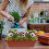 4 lots de à fleurs pour fenêtre 10