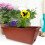 4 lots de à fleurs pour fenêtre 11