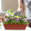 4 lots de à fleurs pour fenêtre 8