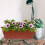 4 lots de à fleurs pour fenêtre 9