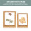 2pcs Double Sided Glass Picture Frame Specimen Clip 9