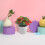 2pcs Artificial Potted Plants Faux Bonsai Decor 7