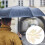 10 unidades de para de guarda-chuva com plástica 4
