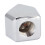 45 Degree Brass Fitting High Durability Temperature Conductivity 1