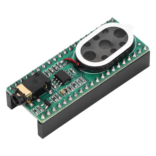 Audio-Erweiterungsmodul Verstärker für Raspberry Pi Pico 1