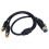XLR-Buchse Y-Splitter 1,6ft auf 2 Phono-Stecker 2