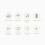 Mofii Candy Bluetooth-Tastatur, 100 Tasten, Mini, tragbar, Grün 2