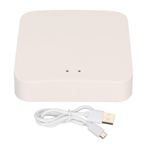 Tuya Smart Gateway WiFi Bridge Voice Control for Google Assistant